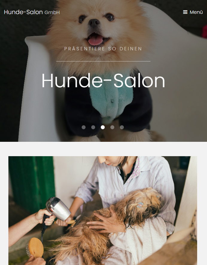Beispiel einer dynamischen Website eines Hundesalons aus Sachsen